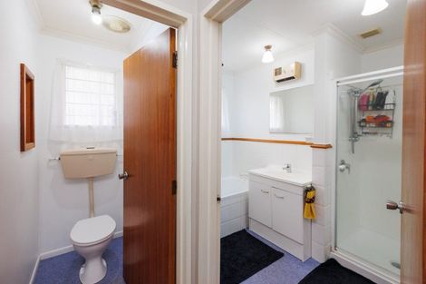 Photo of property in 45 Worcester Street, Ashhurst, 4810