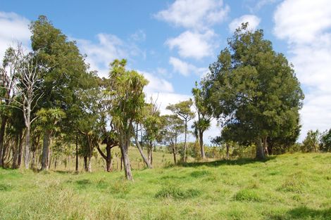 Photo of property in 135 Phillips Road, Kaiwaka, 0573