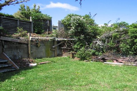 Photo of property in 55 Durham Street, Aro Valley, Wellington, 6021