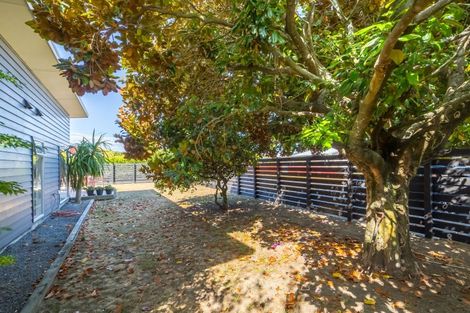 Photo of property in 43 Sackville Street, Martinborough, 5711