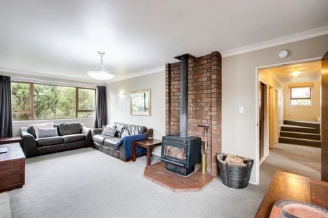 Photo of property in 4 Kopanga Road, Havelock North, 4130