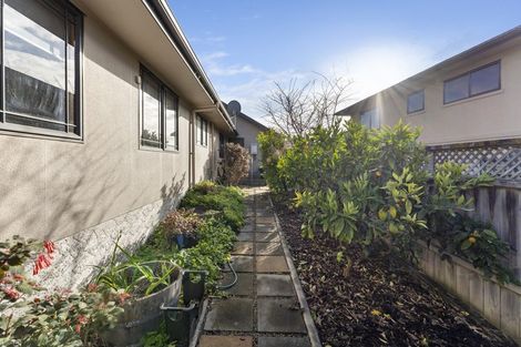 Photo of property in 24 Ursula Drive, Feilding, 4702