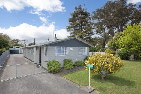 Photo of property in 19 Alexandra Street, Marton, 4710