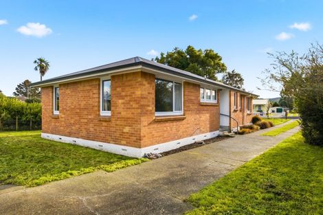 Photo of property in 171 Miro Street, Manunui, Taumarunui, 3924