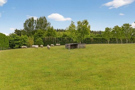 Photo of property in 225 Marshmans Road, Ashley, Rangiora, 7477