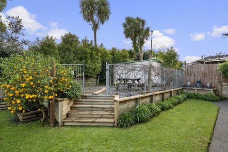 Photo of property in 19 Marire Drive, Ohauiti, Tauranga, 3112