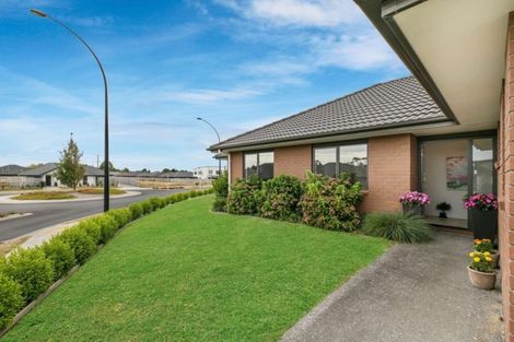 Photo of property in 117 Te Manatu Drive, Huntington, Hamilton, 3210