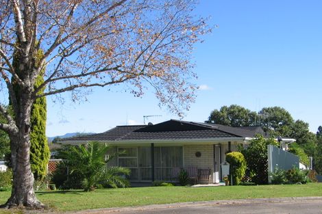 Photo of property in 25a Anderson Street, Putaruru, 3411