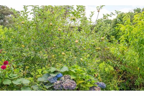 Photo of property in 273 Te Ahu Ahu Road, Waimate North, Kaikohe, 0472