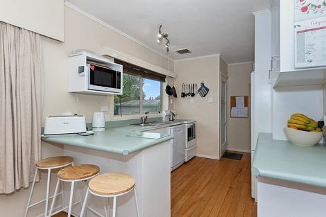 Photo of property in 14 Lamont Street, Chartwell, Hamilton, 3210