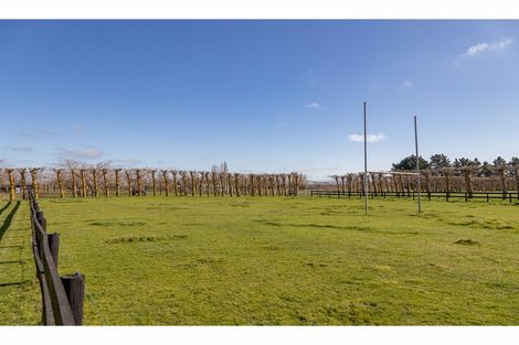 Photo of property in 140 Merton Road, Fernside, Rangiora, 7471