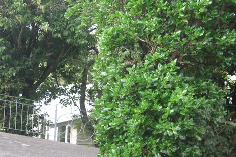 Photo of property in 21 Kitchener Terrace, Johnsonville, Wellington, 6037