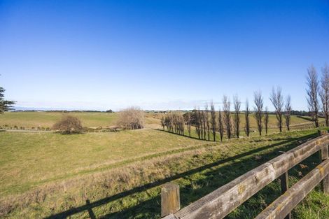 Photo of property in 60 Beechwood Road, Feilding, 4779