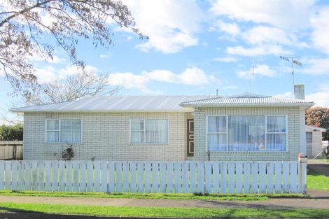 Photo of property in 9 Stirling Street, Levin, 5510