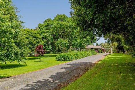 Photo of property in 905 Oropi Road, Oropi, Tauranga, 3173