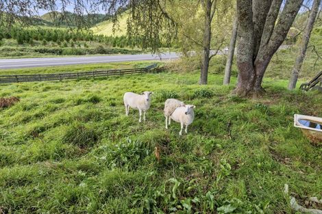 Photo of property in 1303 State Highway 33, Okere Falls, Rotorua, 3074