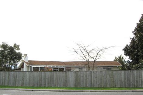 Photo of property in 17 Mill Road, Clive, 4102