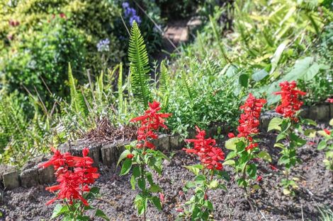 Photo of property in 78 Russell Road, Huntly, 3700