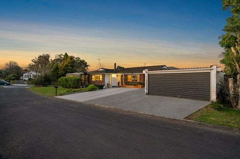 Photo of property in 20 Moloney Terrace, Pukekohe, 2120