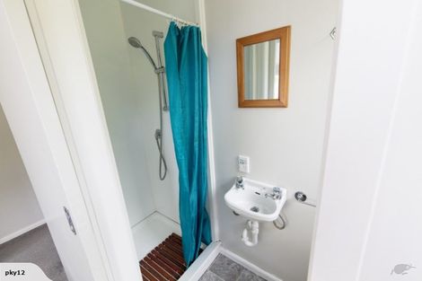 Photo of property in 52 Norway Street, Aro Valley, Wellington, 6012