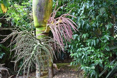 Photo of property in 45 Gorge Road, Maungaturoto, 0520