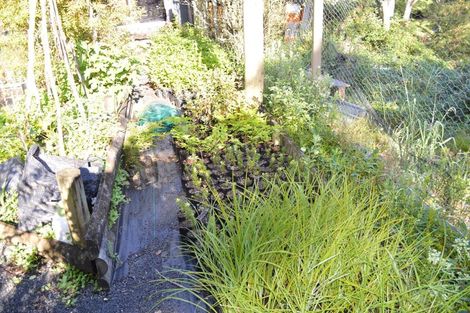 Photo of property in 480 Driving Creek Road, Coromandel, 3506