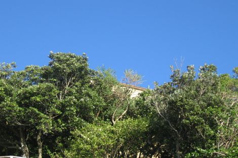 Photo of property in 69 Palliser Road, Roseneath, Wellington, 6011