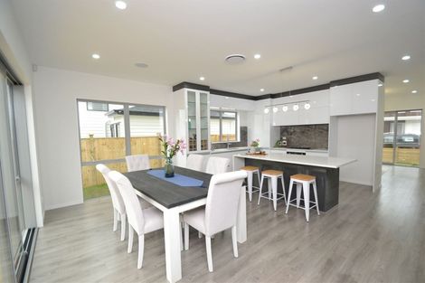 Photo of property in 14 Aviation Drive, Hobsonville, Auckland, 0616