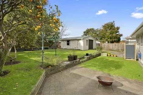 Photo of property in 5 Farm Street, Mount Maunganui, 3116