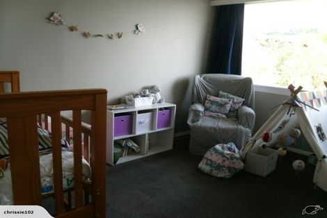 Photo of property in 72 Wilson Road, Balclutha, 9230