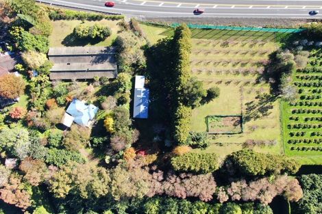 Photo of property in 664 State Highway 2, Tahawai, Katikati, 3170