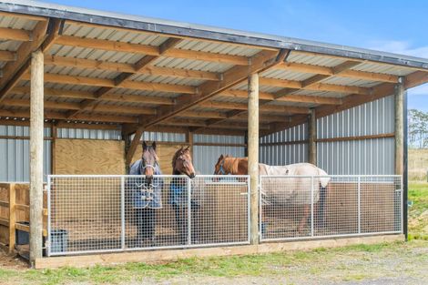 Photo of property in 175a Stanners Road, Kerikeri, 0295