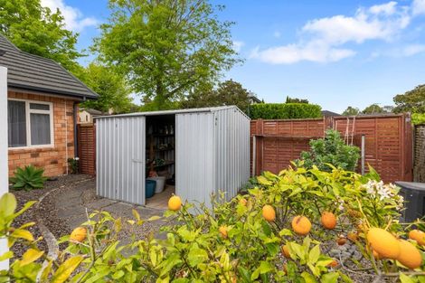 Photo of property in 2 Saint Clements Grove, Bethlehem, Tauranga, 3110