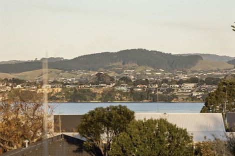 Photo of property in 75a Thirteenth Avenue, Tauranga South, Tauranga, 3112