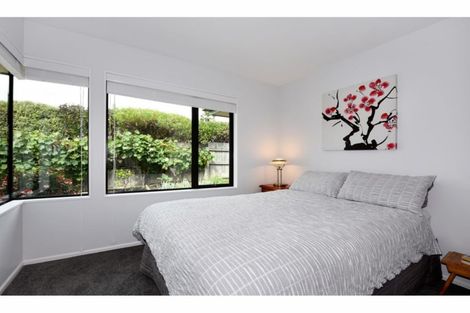 Photo of property in 93 Templemore Drive, Richmond, 7020