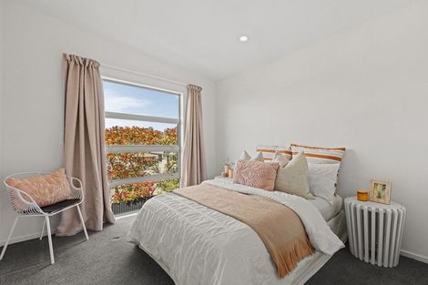 Photo of property in 25 Champion Street, Edgeware, Christchurch, 8013