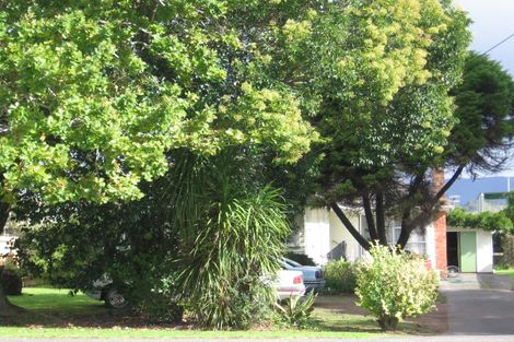 Photo of property in 100 Swanson Road, Henderson, Auckland, 0610