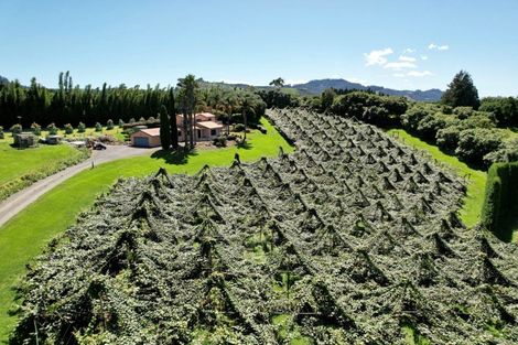 Photo of property in 6a Woodland Road, Tahawai, Katikati, 3170