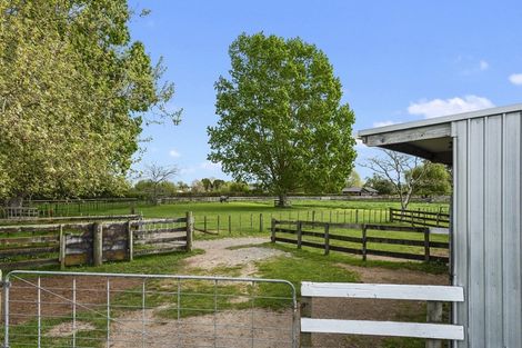 Photo of property in 54 Peake Road, Cambridge, Hamilton, 3283