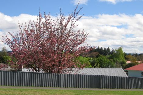 Photo of property in 85 Elizabeth Street, Tauhara, Taupo, 3330