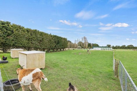 Photo of property in 161 Mckays Road, West Melton, Christchurch, 7671