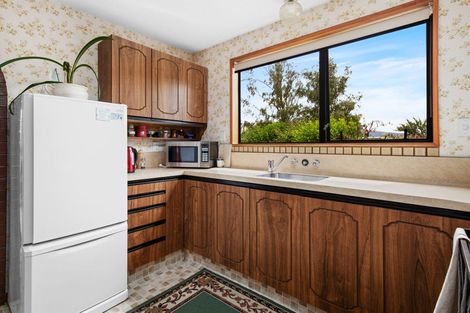 Photo of property in 20a Molyneux Avenue, Cromwell, 9310