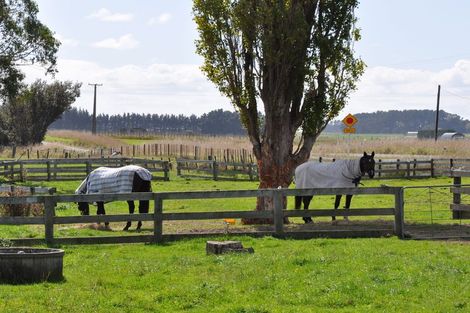 Photo of property in 260 Waitohi Road, Rongotea, Palmerston North, 4476