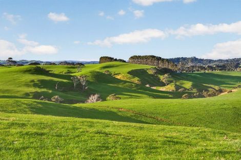 Photo of property in 55 Coster Road, Muriwai, 0881