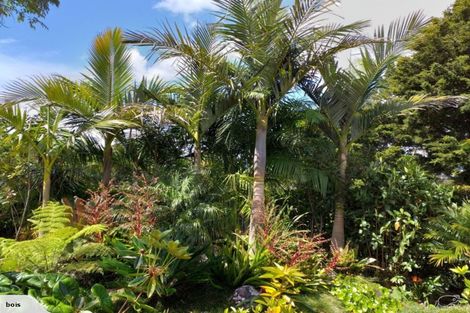 Photo of property in 33 Sarawak Drive, Kerikeri, 0230