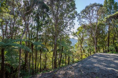 Photo of property in 15 Te Aute Ridge Road, Waitakere, Auckland, 0781