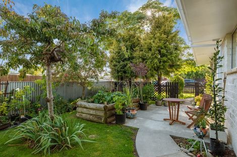 Photo of property in 16a Brian Bary Street, Redwoodtown, Blenheim, 7201