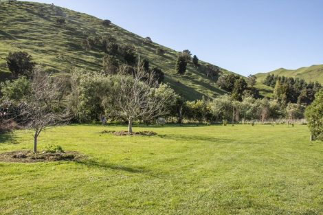 Photo of property in 313 Upper Waingawa Road, Kaituna, Masterton, 5888