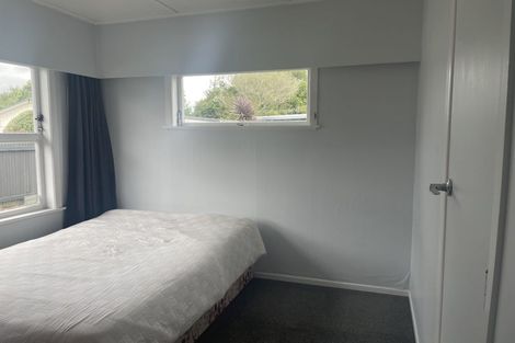 Photo of property in 41 Fitzroy Avenue, Fitzroy, Hamilton, 3206