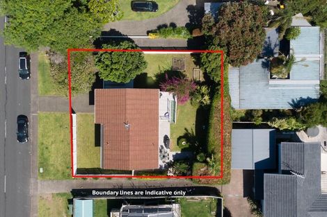 Photo of property in 88 Exmouth Road, Northcote, Auckland, 0627